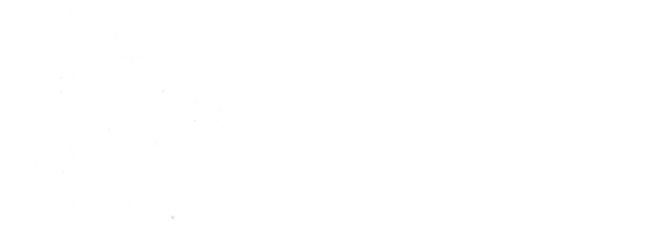 Stories Like Me logo