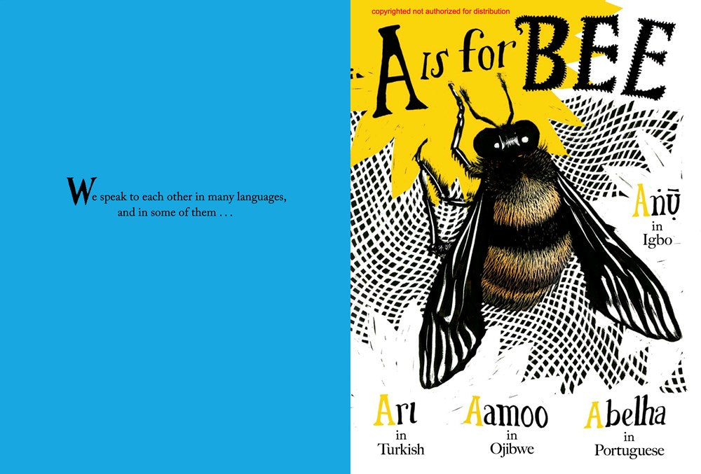 A is for Bee An alphabet book in translation
