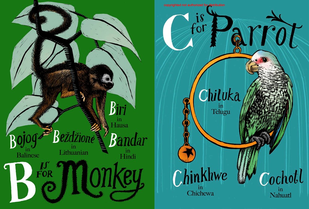 A is for Bee An alphabet book in translation