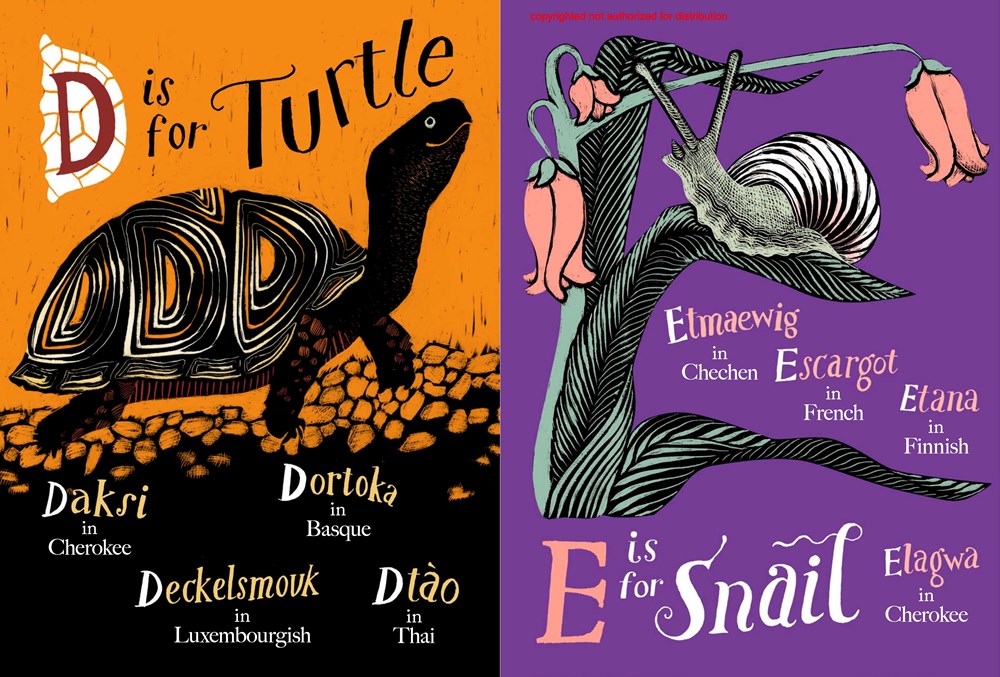 A is for Bee An alphabet book in translation