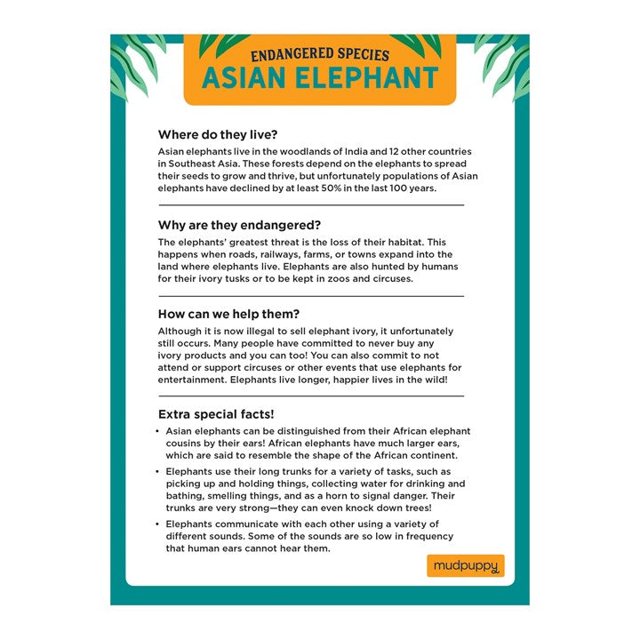 Asian Elephants Endangered Species 300 Piece Puzzle