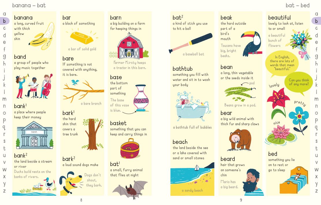 The Usborne Picture Dictionary
