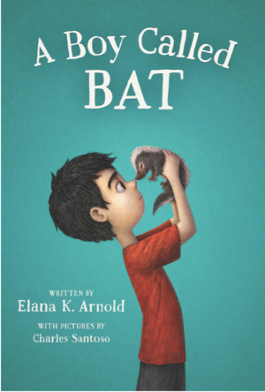 A Boy Called Bat