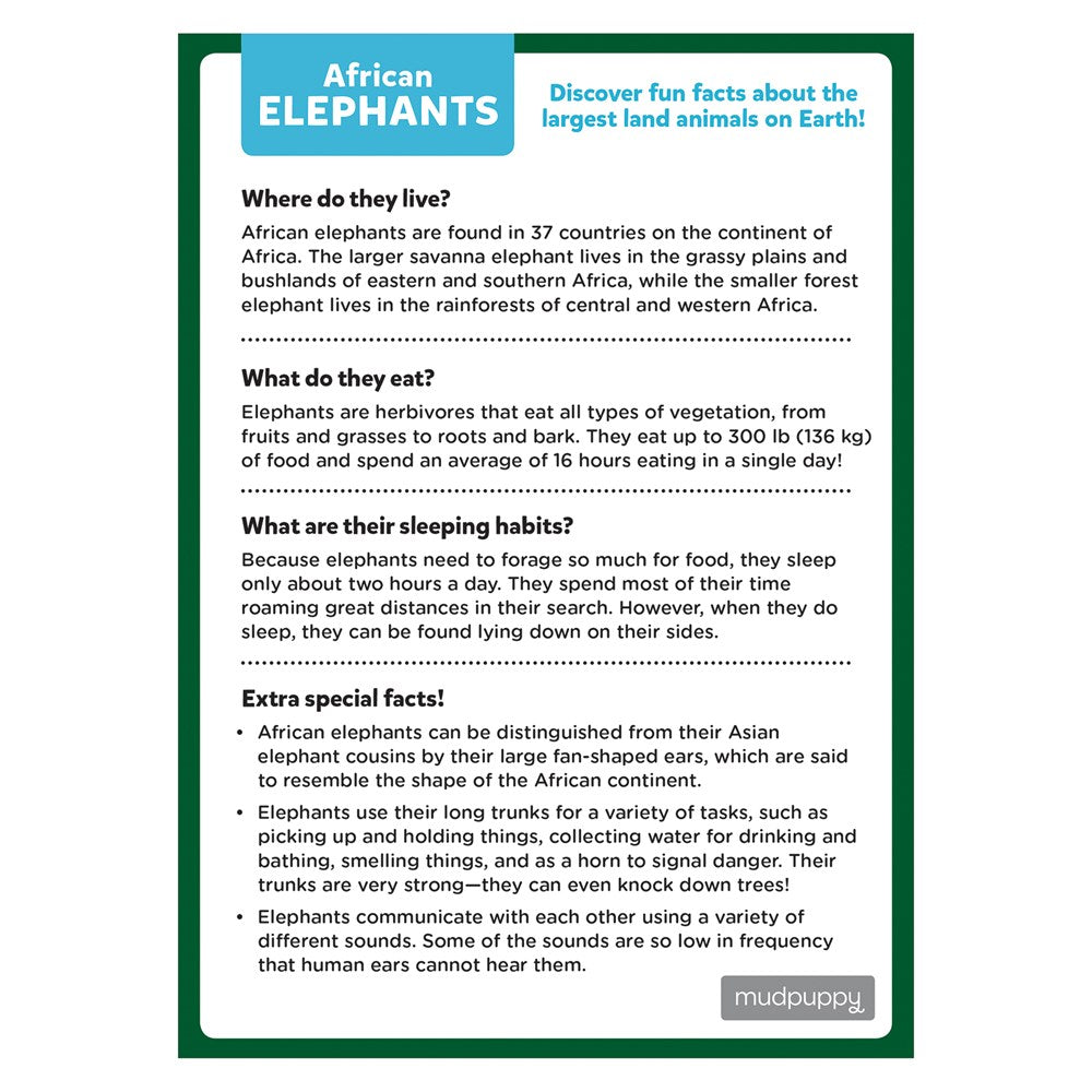 African Elephant  Mini Puzzle
