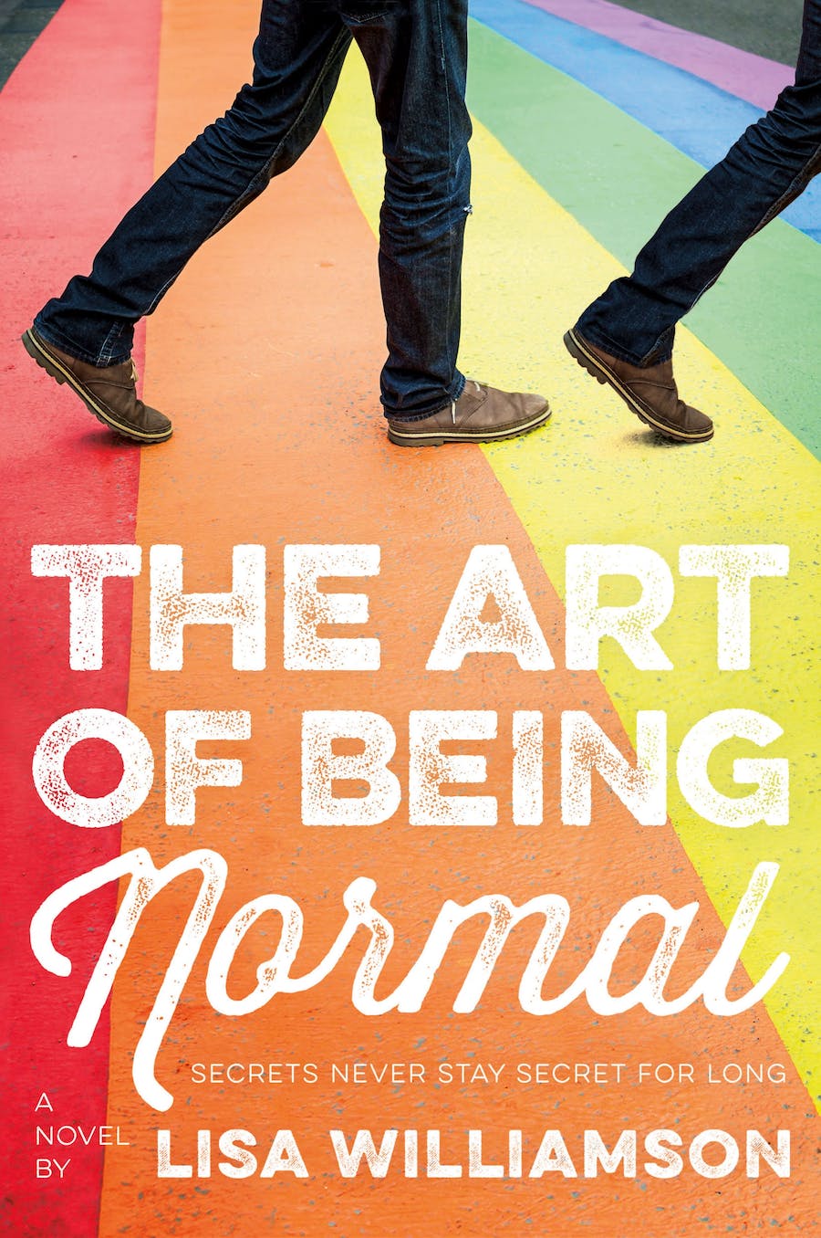 The Art of Being Normal : A Novel