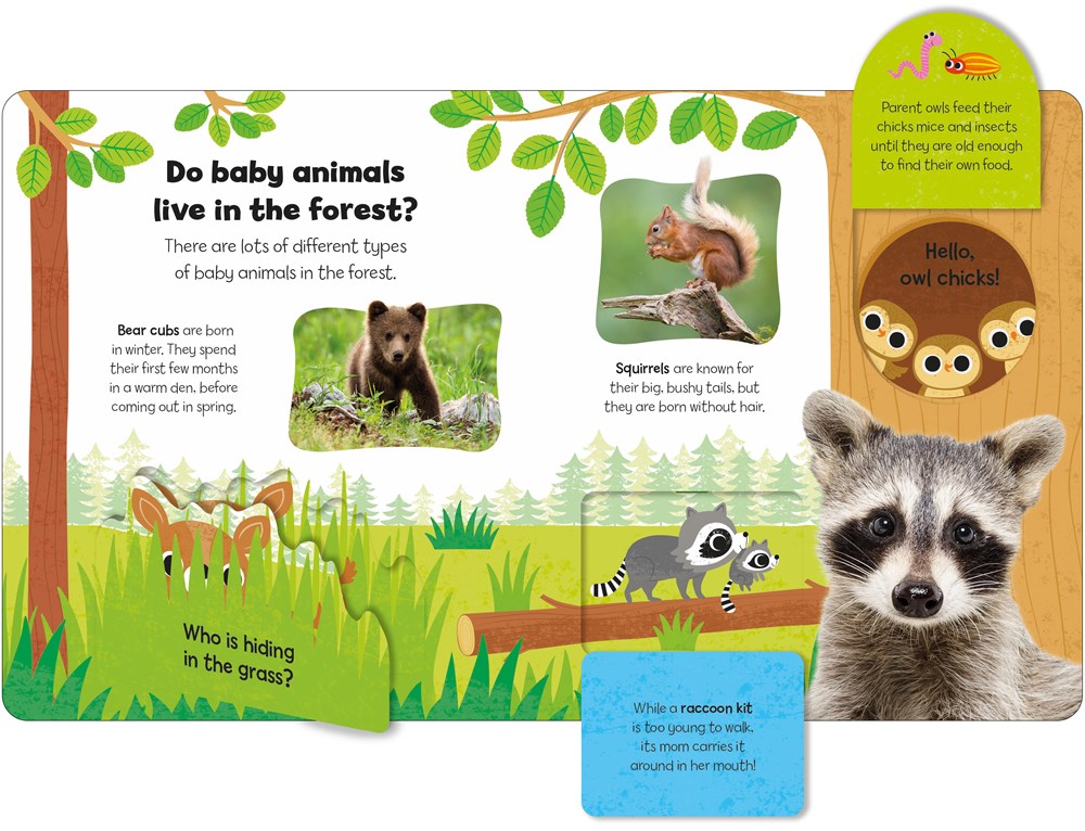 Baby Animals