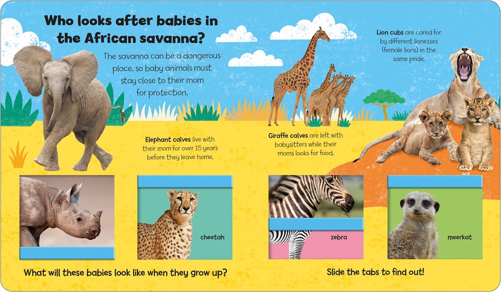 Baby Animals