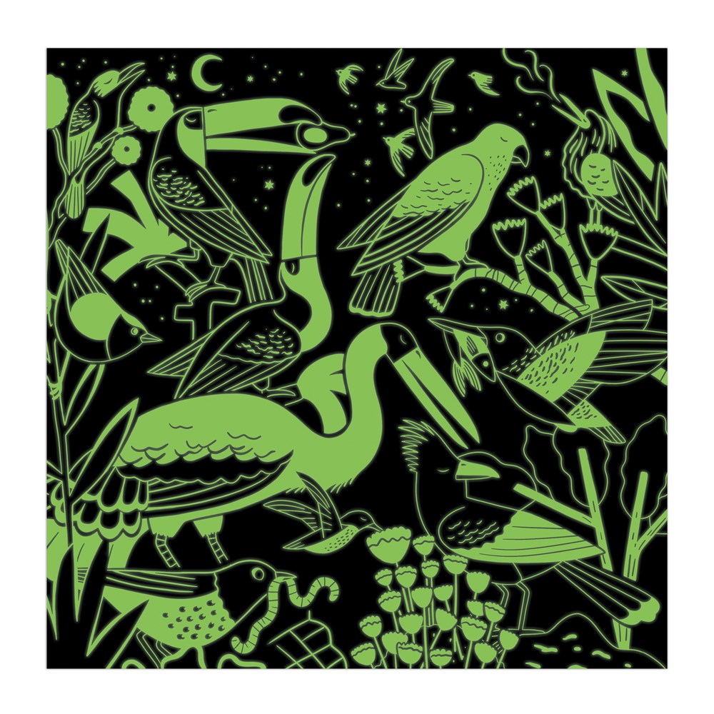 Birds Illuminated 500 Piece Glow in the Dark Puzzle