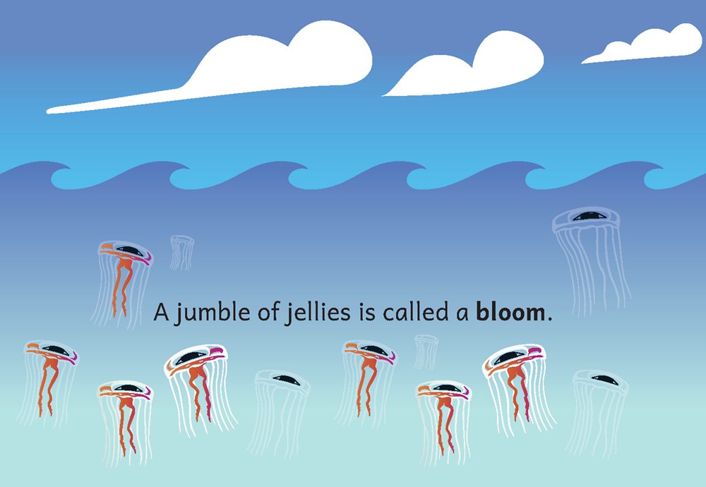 A Flock of Gulls, A Chorus of Frogs