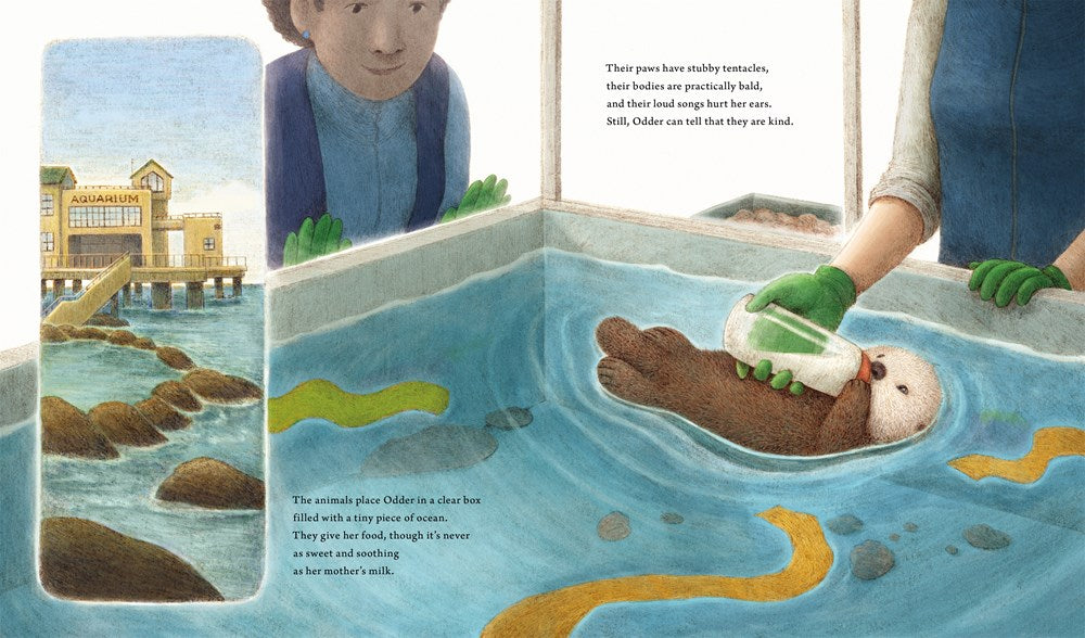 Odder: An Otter Story