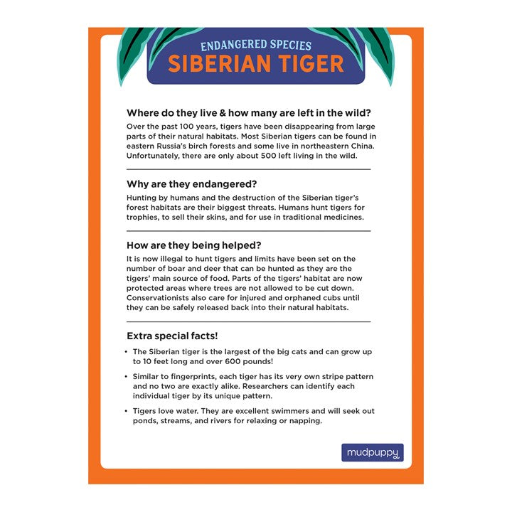Siberian Tiger Endangered Species 300 Piece Puzzle