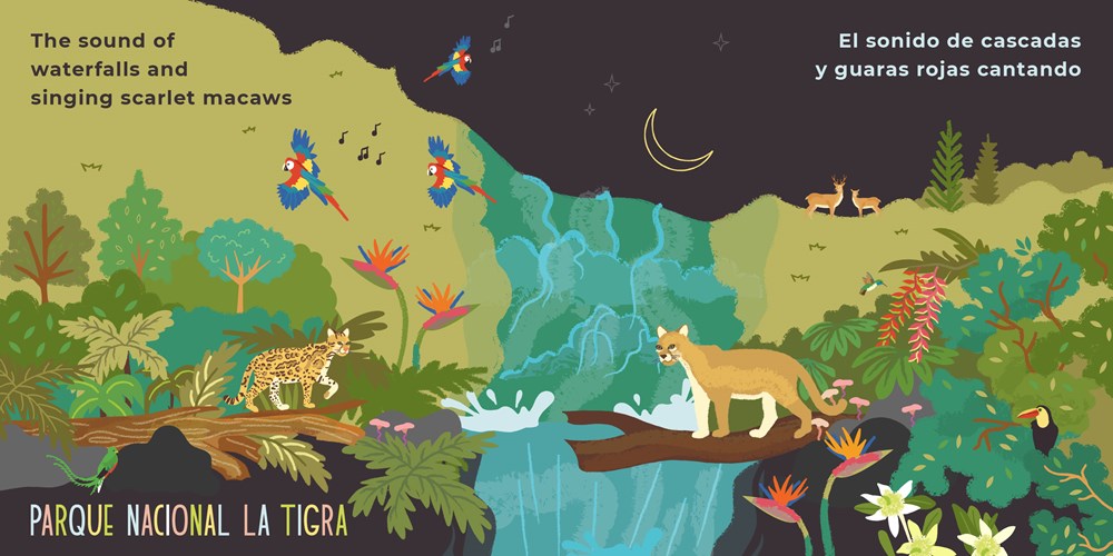 VÁMONOS: Tegucigalpa
