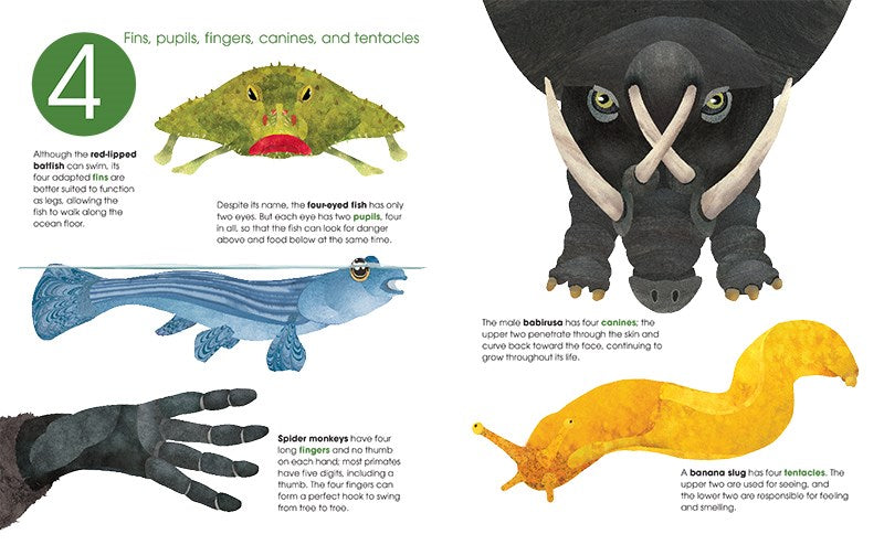 Toes, Teeth, and Tentacles : A Curious Counting Book