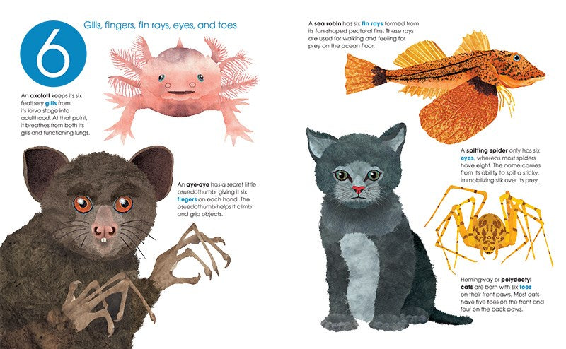Toes, Teeth, and Tentacles : A Curious Counting Book