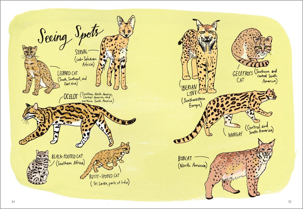 Wildlife Anatomy