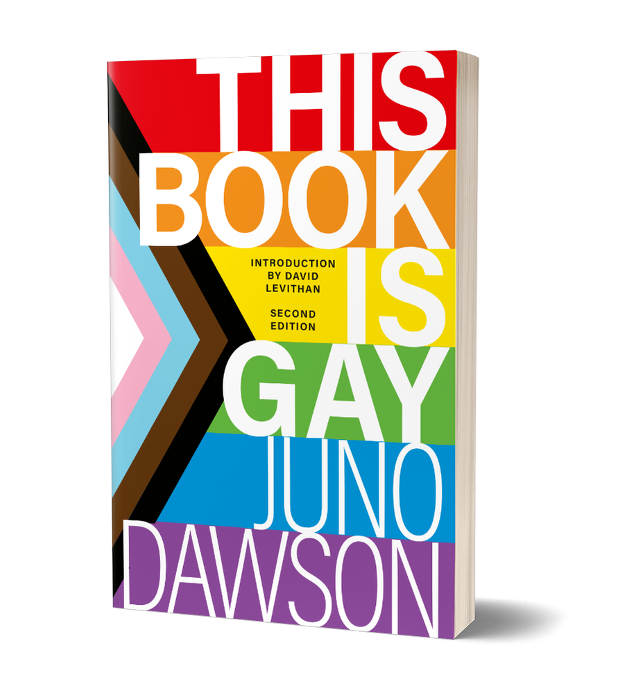 This Book is Gay